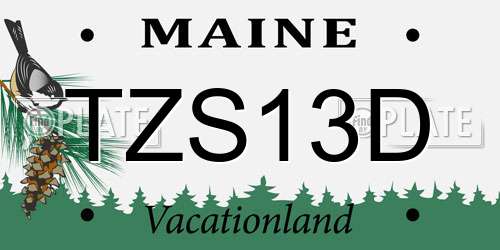 TZS13D Maine License Plate