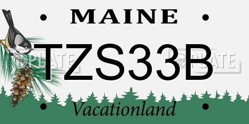 TZS33B Maine License Plate