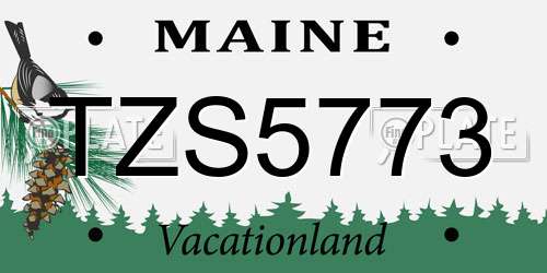 TZS5773 Maine License Plate