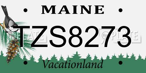 TZS8273 Maine License Plate