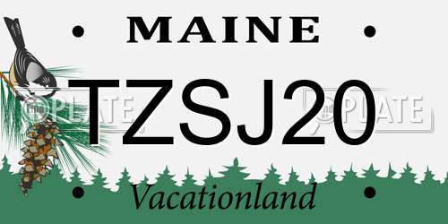 TZSJ20 Maine License Plate