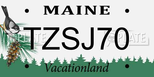 TZSJ70 Maine License Plate