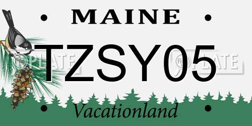 TZSY05 Maine License Plate