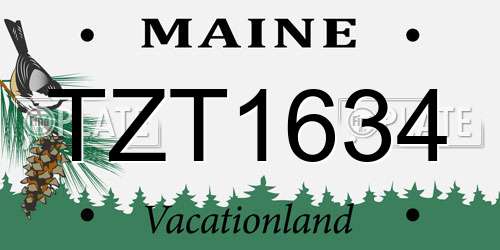 TZT1634 Maine License Plate