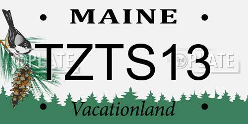 TZTS13 Maine License Plate