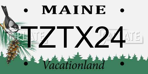 TZTX24 Maine License Plate