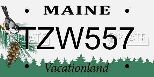 TZW557 Maine License Plate