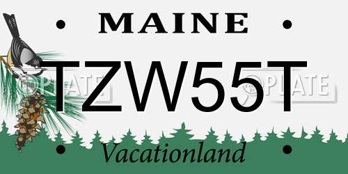 TZW55T Maine License Plate