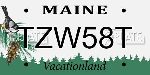 TZW58T Maine License Plate