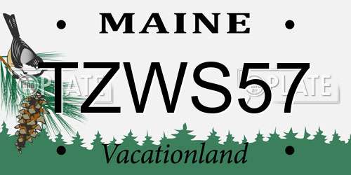 TZWS57 Maine License Plate