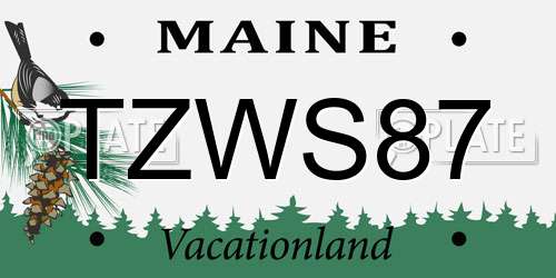 TZWS87 Maine License Plate
