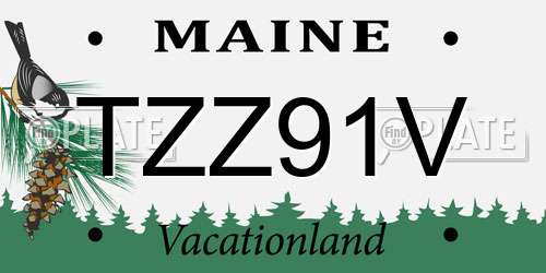 TZZ91V Maine License Plate