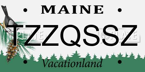 TZZQSSZ Maine License Plate