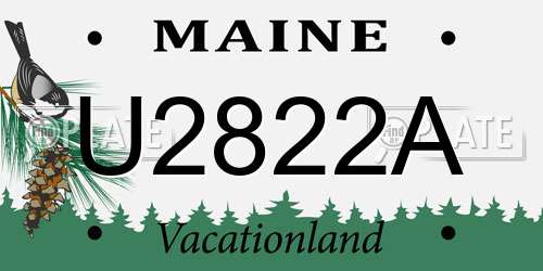 U2822A Maine License Plate