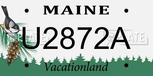 U2872A Maine License Plate
