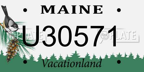 U30571 Maine License Plate