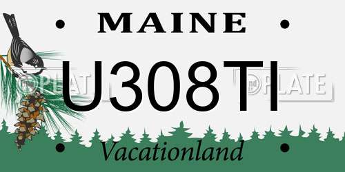 U308TI Maine License Plate