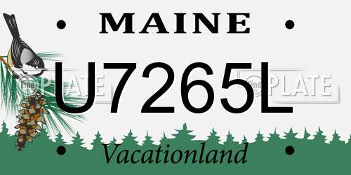 U7265L Maine License Plate