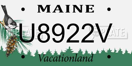U8922V Maine License Plate