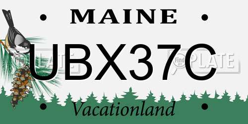 UBX37C Maine License Plate