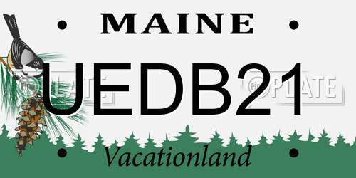 UEDB21 Maine License Plate