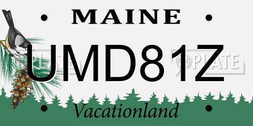 UMD81Z Maine License Plate