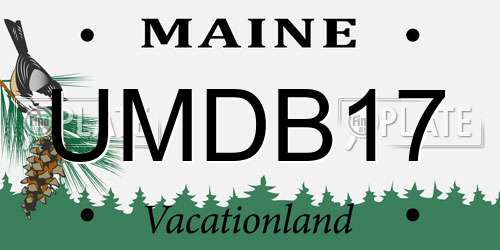UMDB17 Maine License Plate