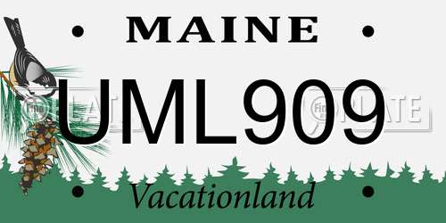 UML909 Maine License Plate