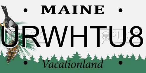 URWHTU8 Maine License Plate