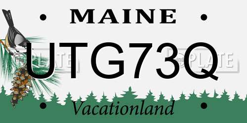UTG73Q Maine License Plate