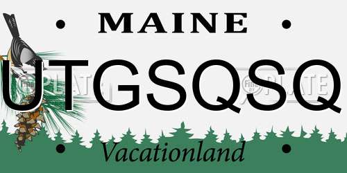 UTGSQSQ Maine License Plate