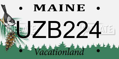 UZB224 Maine License Plate