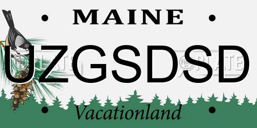 UZGSDSD Maine License Plate