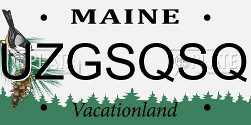 UZGSQSQ Maine License Plate