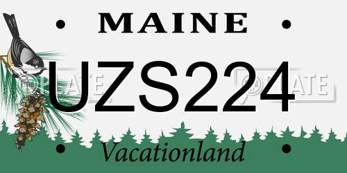 UZS224 Maine License Plate