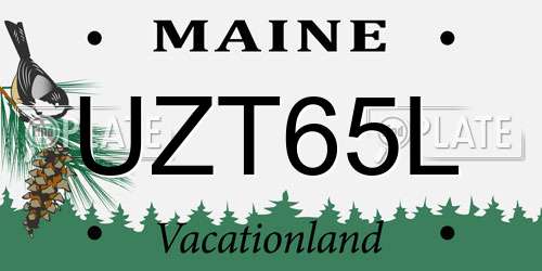 UZT65L Maine License Plate