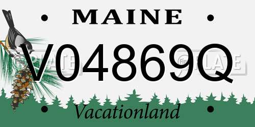 V04869Q Maine License Plate