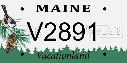 V2891 Maine License Plate