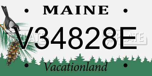 V34828E Maine License Plate