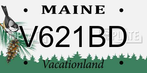 V621BD Maine License Plate