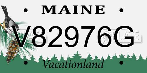 V82976G Maine License Plate