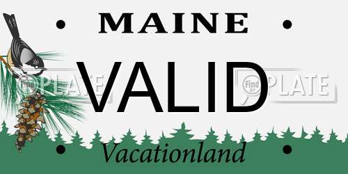 VALID Maine License Plate
