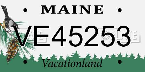 VE45253 Maine License Plate