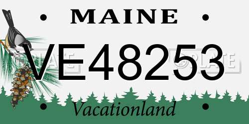 VE48253 Maine License Plate