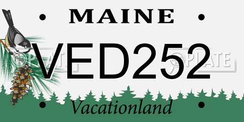 VED252 Maine License Plate