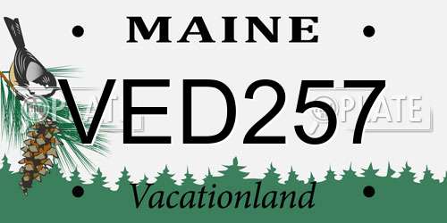 VED257 Maine License Plate