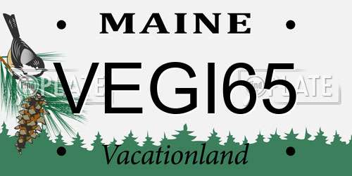 VEGI65 Maine License Plate