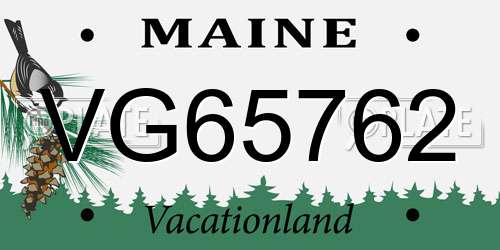 VG65762 Maine License Plate