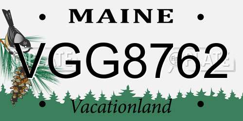 VGG8762 Maine License Plate