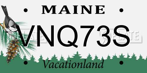 VNQ73S Maine License Plate